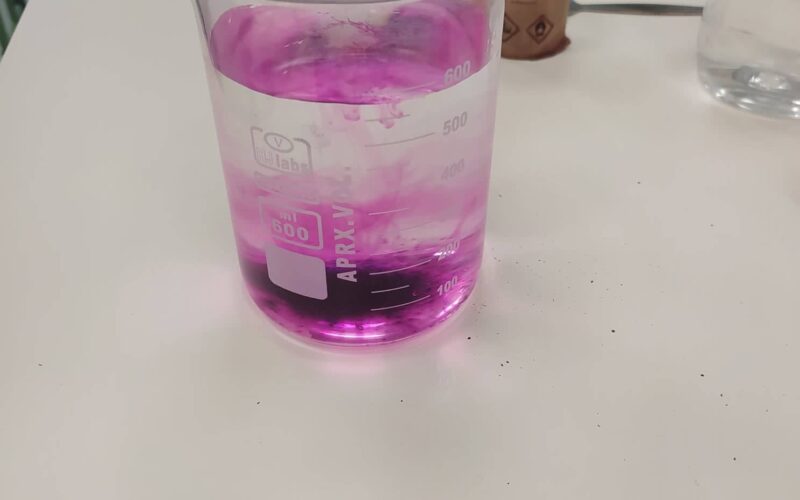 Biológia óra 8.b